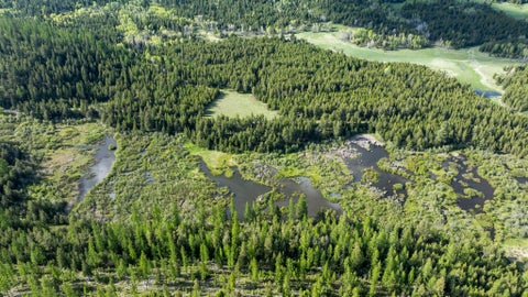 Tiny photo for 3180 Browns Meadow Road, Kila, MT 59920 (MLS # 30071777)