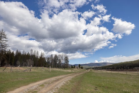 Tiny photo for 3180 Browns Meadow Road, Kila, MT 59920 (MLS # 30071777)