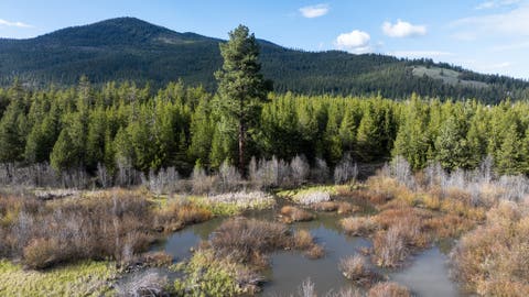 Tiny photo for 3180 Browns Meadow Road, Kila, MT 59920 (MLS # 30071777)