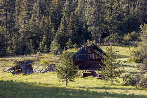 Tiny photo for 3180 Browns Meadow Road, Kila, MT 59920 (MLS # 30071777)