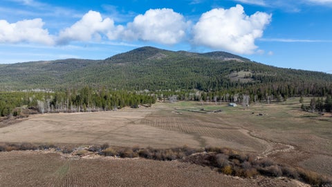 Tiny photo for 3180 Browns Meadow Road, Kila, MT 59920 (MLS # 30071777)