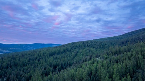 Tiny photo for 3180 Browns Meadow Road, Kila, MT 59920 (MLS # 30071777)