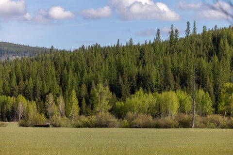 Tiny photo for 3180 Browns Meadow Road, Kila, MT 59920 (MLS # 30071777)