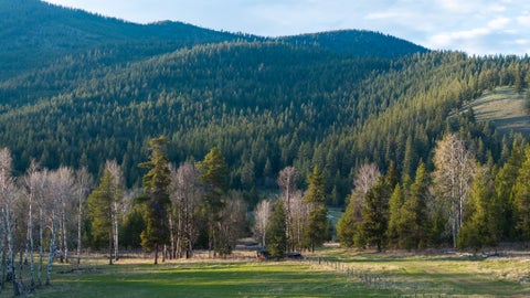 Tiny photo for 3180 Browns Meadow Road, Kila, MT 59920 (MLS # 30071777)
