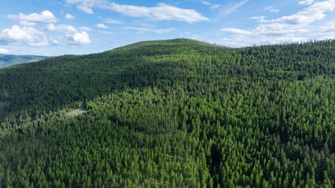 Tiny photo for 3180 Browns Meadow Road, Kila, MT 59920 (MLS # 30071777)