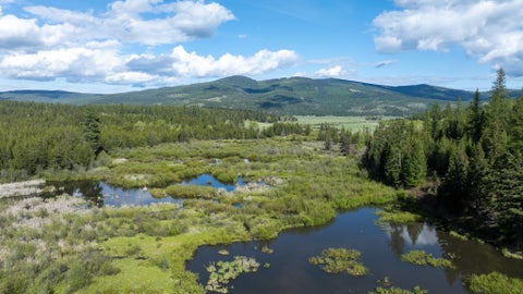 Photo of 3180 Browns Meadow Road, Kila, MT 59920 (MLS # 30071777)