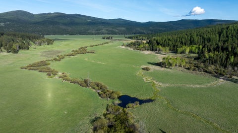 Tiny photo for 3180 Browns Meadow Road, Kila, MT 59920 (MLS # 30071777)
