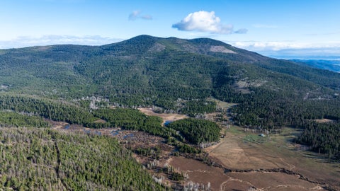 Tiny photo for 3180 Browns Meadow Road, Kila, MT 59920 (MLS # 30071777)
