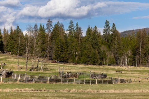 Tiny photo for 3180 Browns Meadow Road, Kila, MT 59920 (MLS # 30071777)