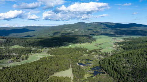 Tiny photo for 3180 Browns Meadow Road, Kila, MT 59920 (MLS # 30071777)