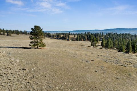 Photo of 535 Sadie Way, Victor, MT 59875 (MLS # 30069100)
