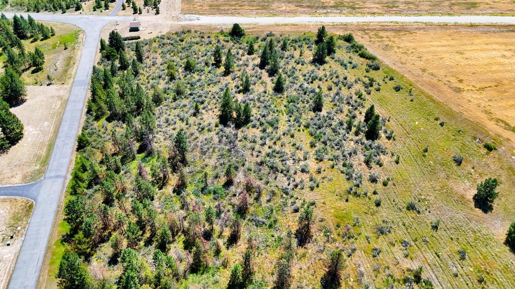 Photo of Lot 4 Harbine Ranch Road, Plains, MT 59859 (MLS # 30065144)