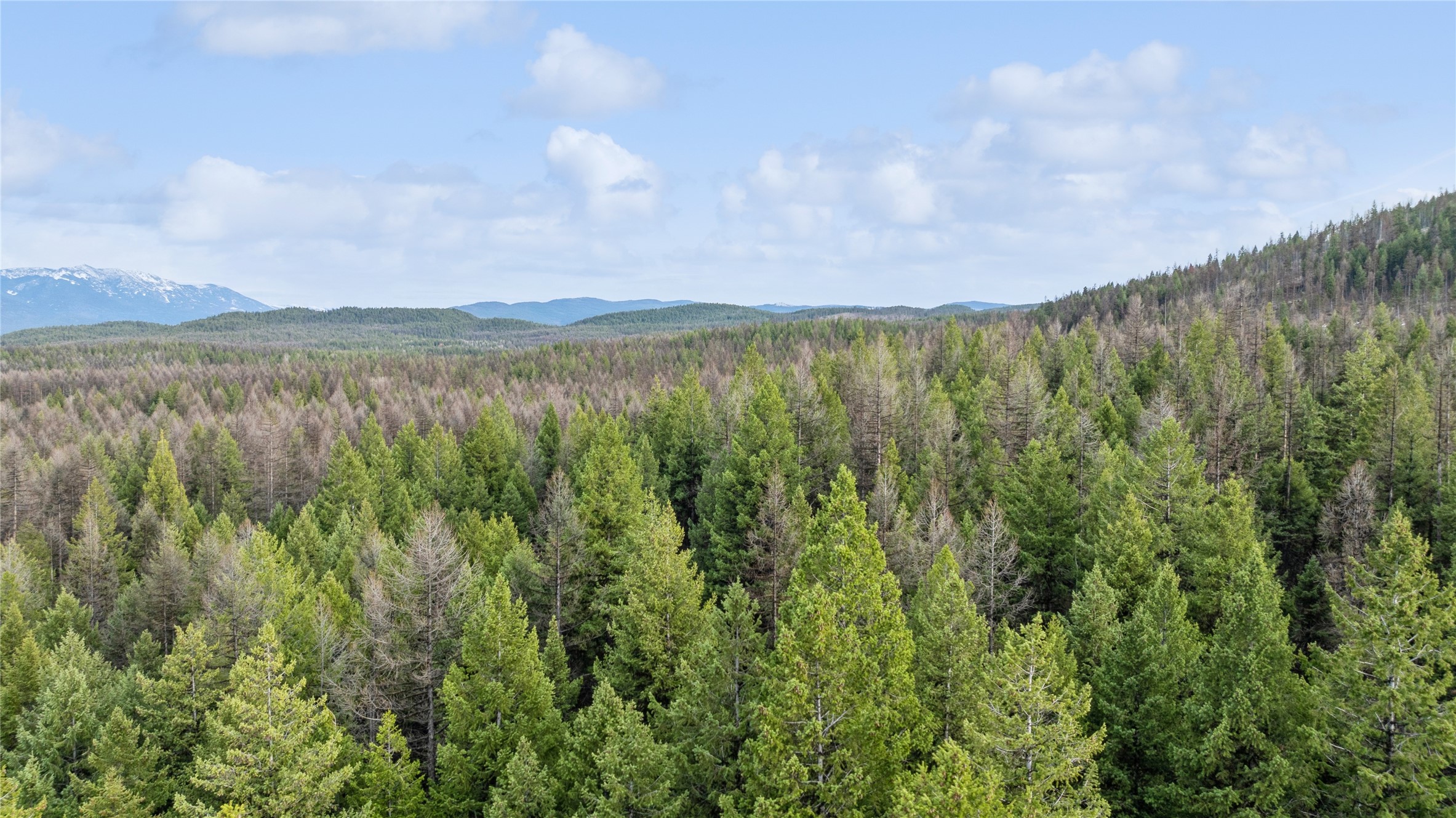 320 Silver Spur Trail