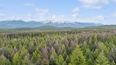 320 Silver Spur Trail Fortine MT 59918