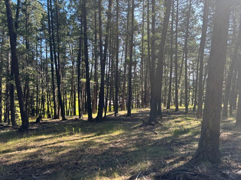 Tiny photo for 704 Morning View Drive, Kalispell, MT 59901 (MLS # 30055564)