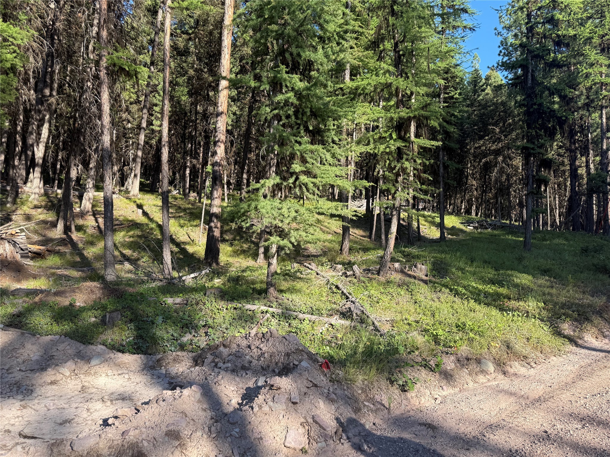 1016 Grandview Drive