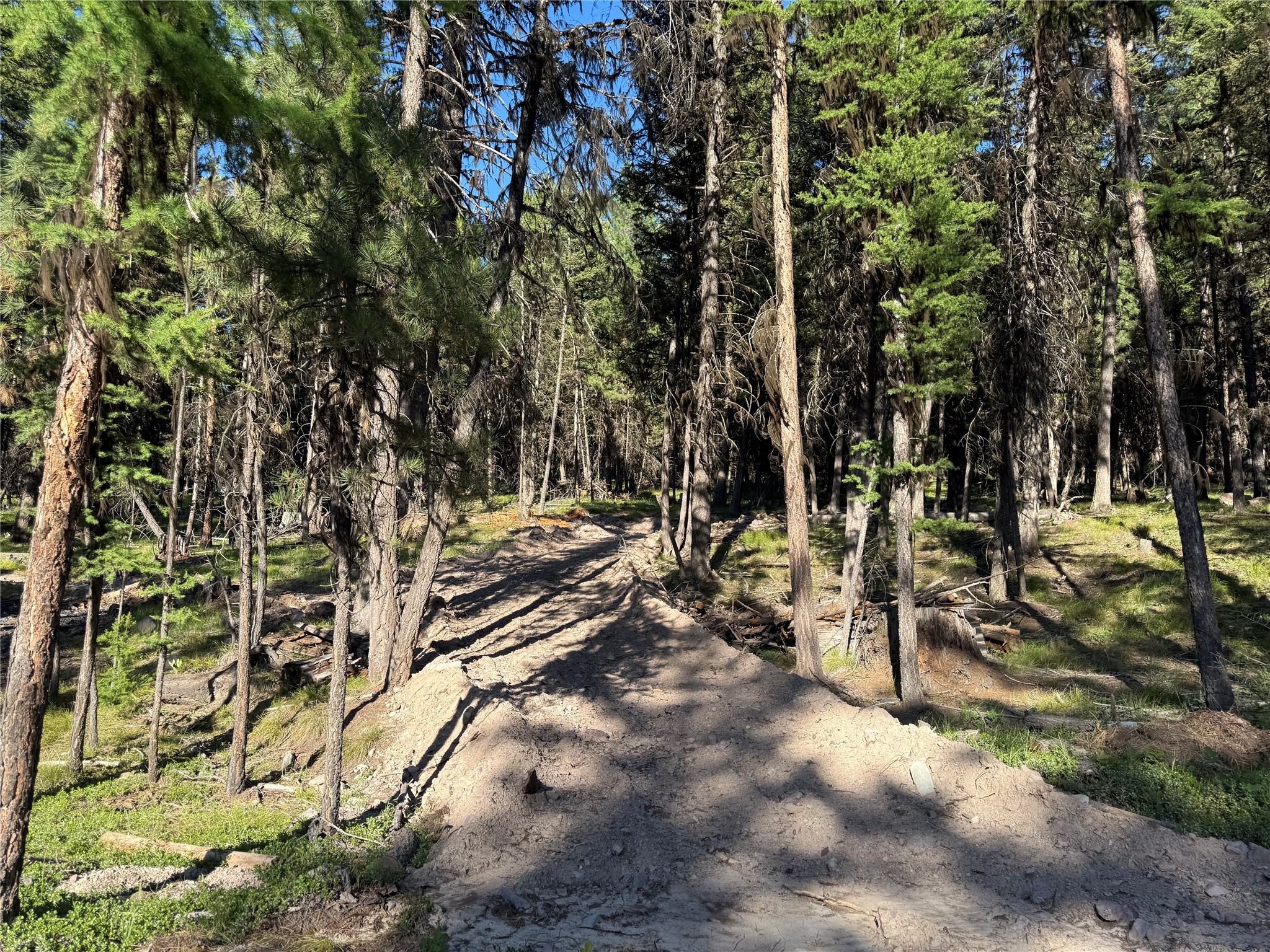 1016 Grandview Drive