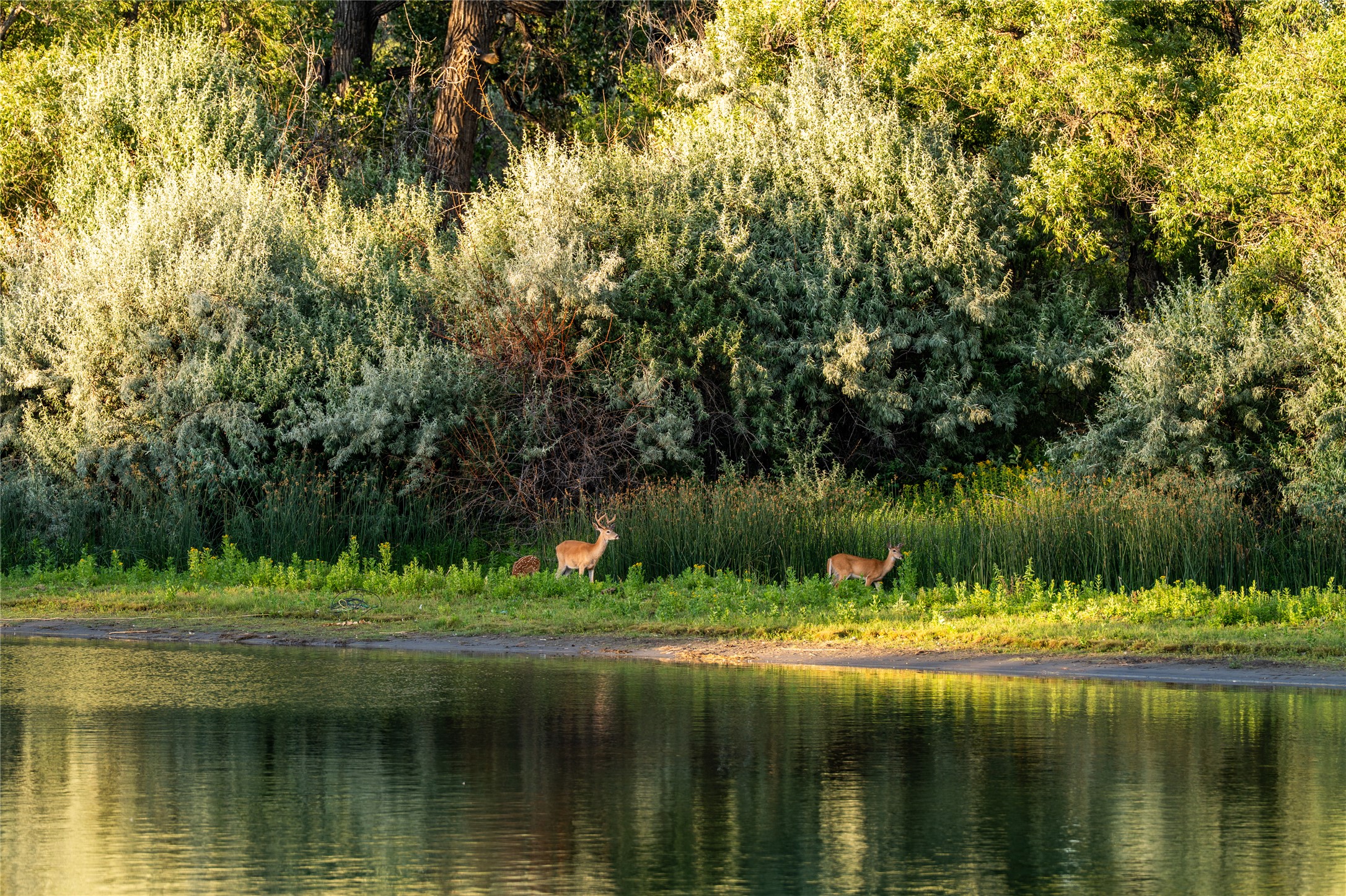Great Falls, Montana 59404, United States, 3 Bedrooms Bedrooms, ,3 BathroomsBathrooms,Residential,Active,115119