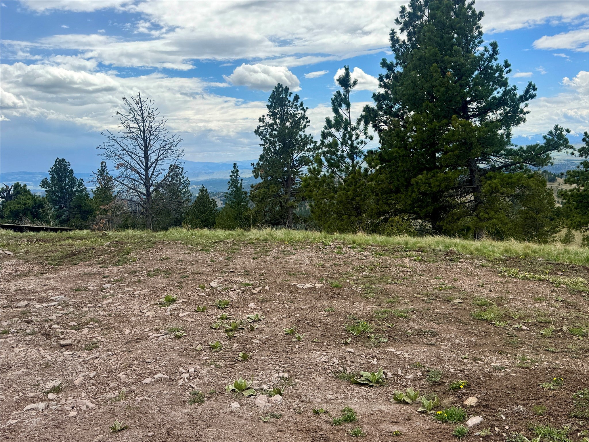 206 Upper Sawmill Loop