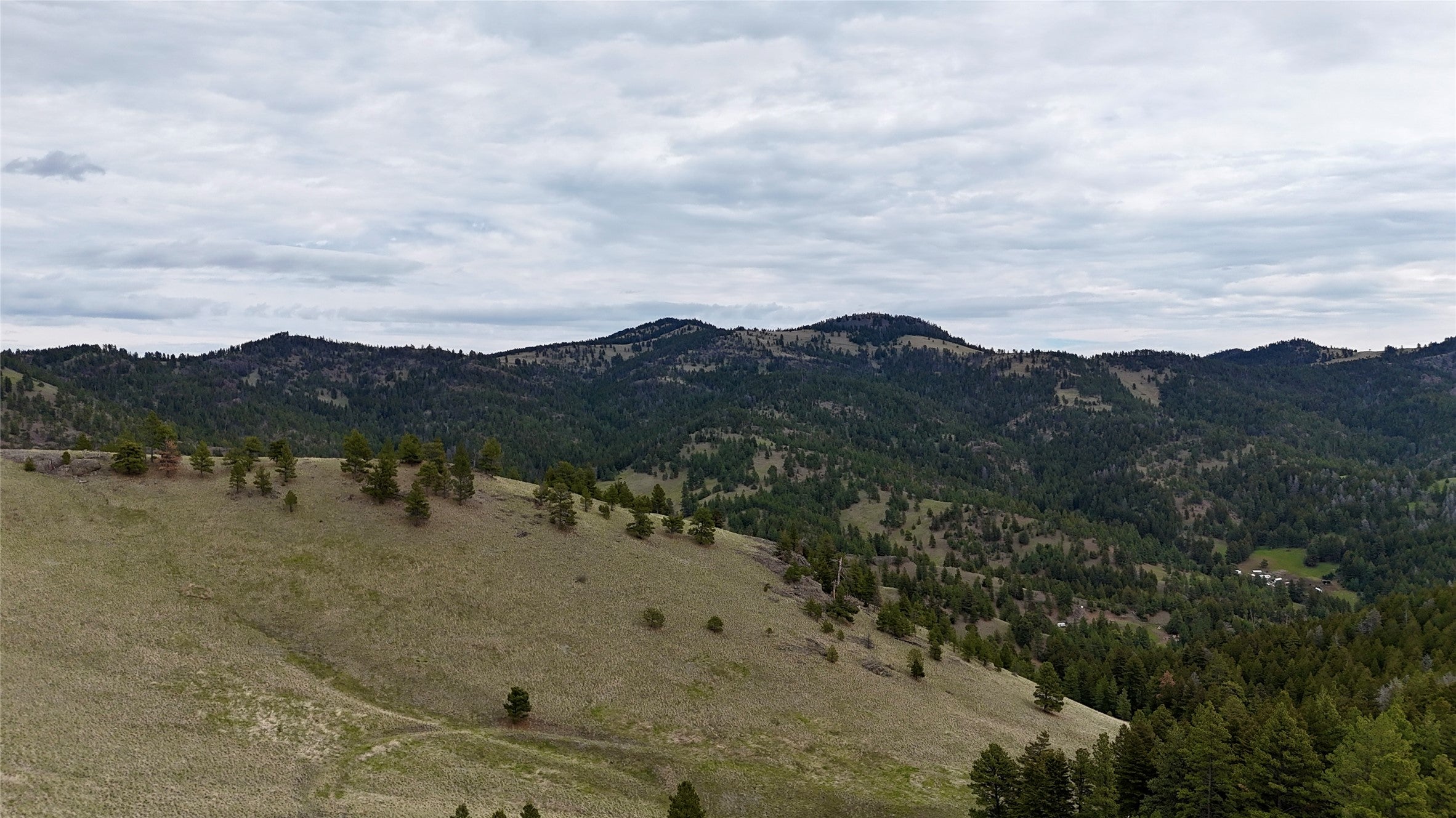 206 Upper Sawmill Loop