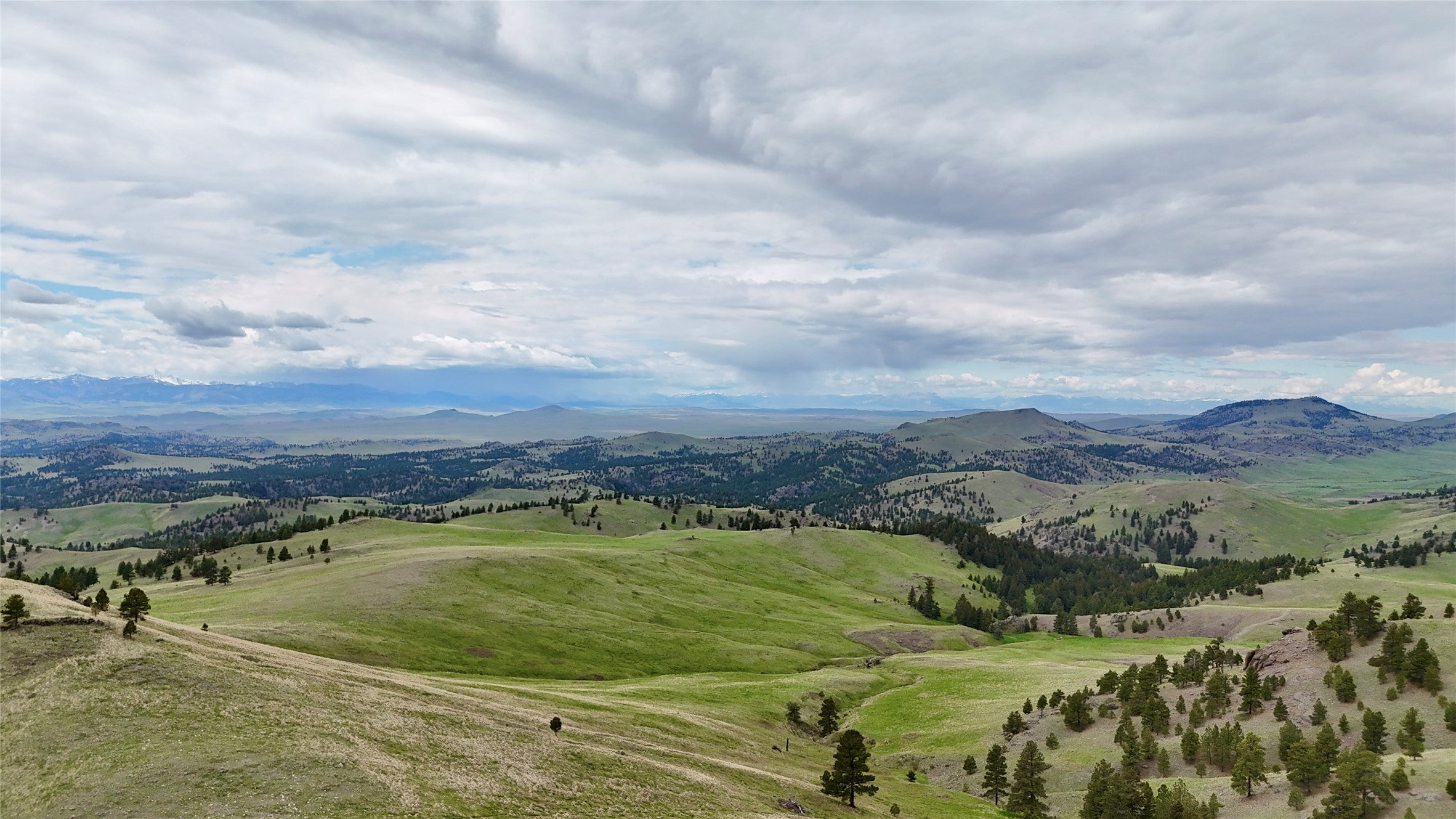 206 Upper Sawmill Loop