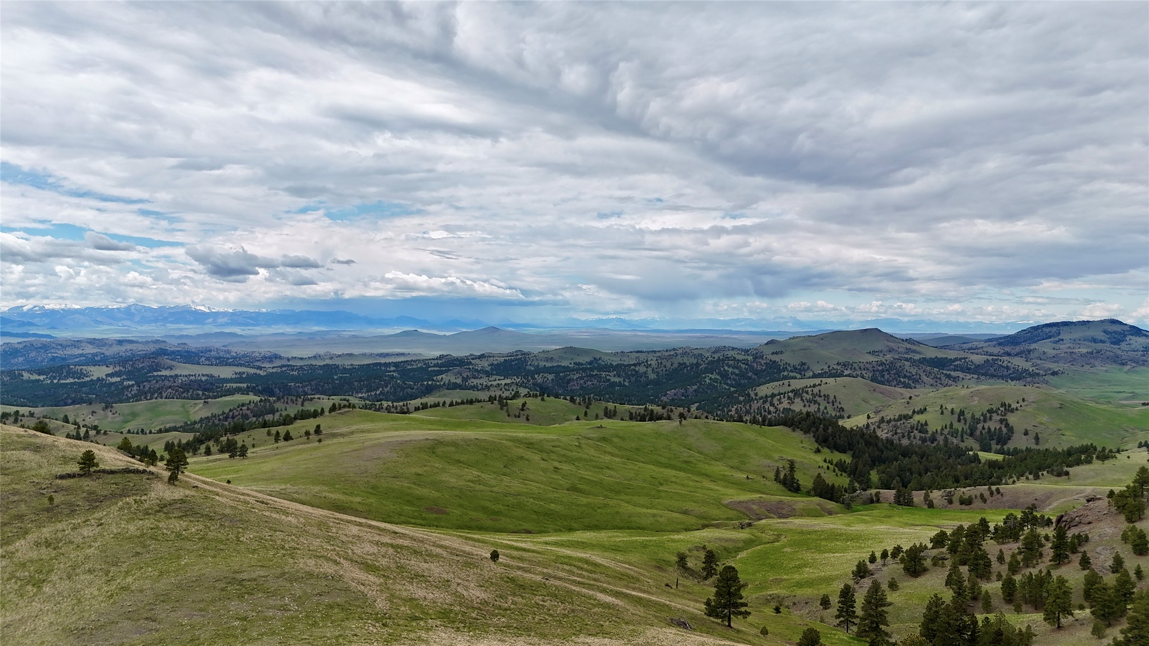 206 Upper Sawmill Loop