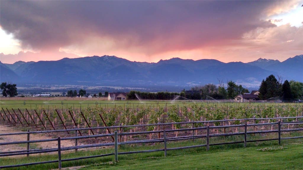 Photo of Nhn - Lot B Mountain View Orchard Road, Corvallis, MT 59828 (MLS # 30073173)