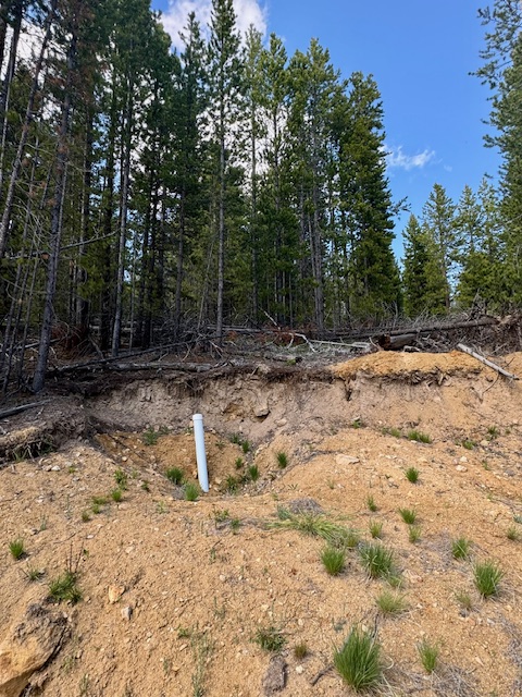 NHN Perkins Gulch Road