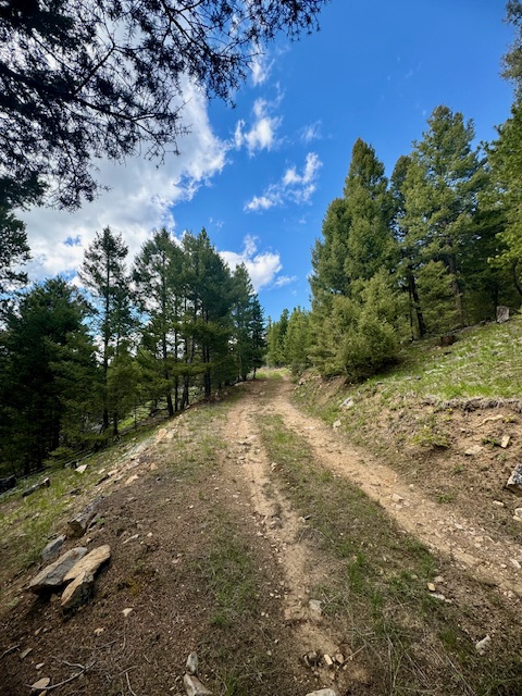 NHN Perkins Gulch Road