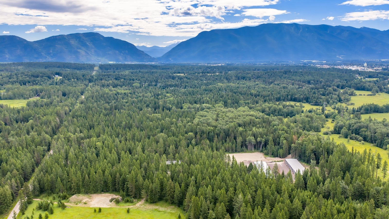 2226 Tamarack Lane