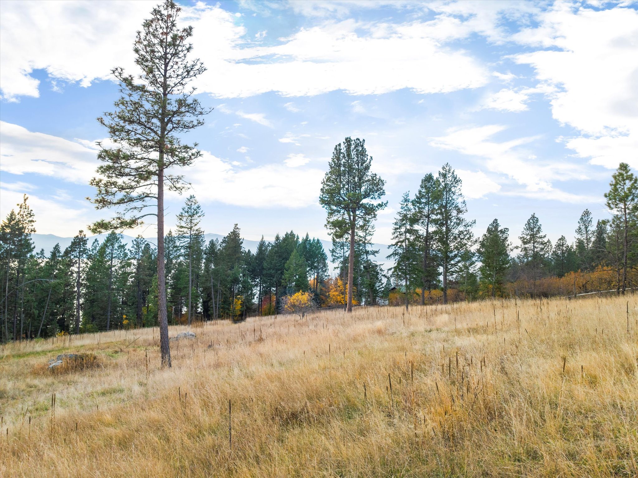 Bigfork, Montana 59911, United States, 3 Bedrooms Bedrooms, ,4 BathroomsBathrooms,Residential,Active,32295