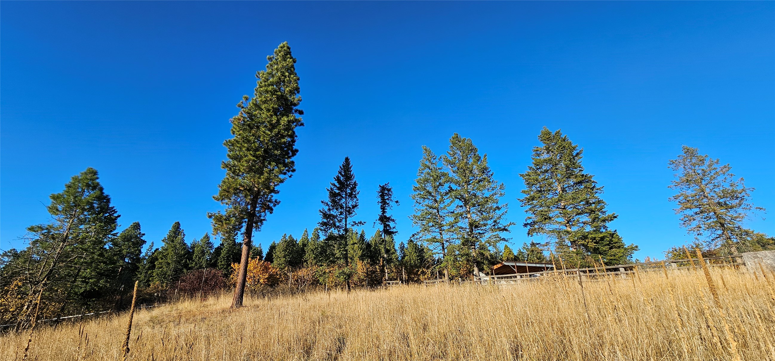 Bigfork, Montana 59911, United States, 3 Bedrooms Bedrooms, ,4 BathroomsBathrooms,Residential,Active,32295