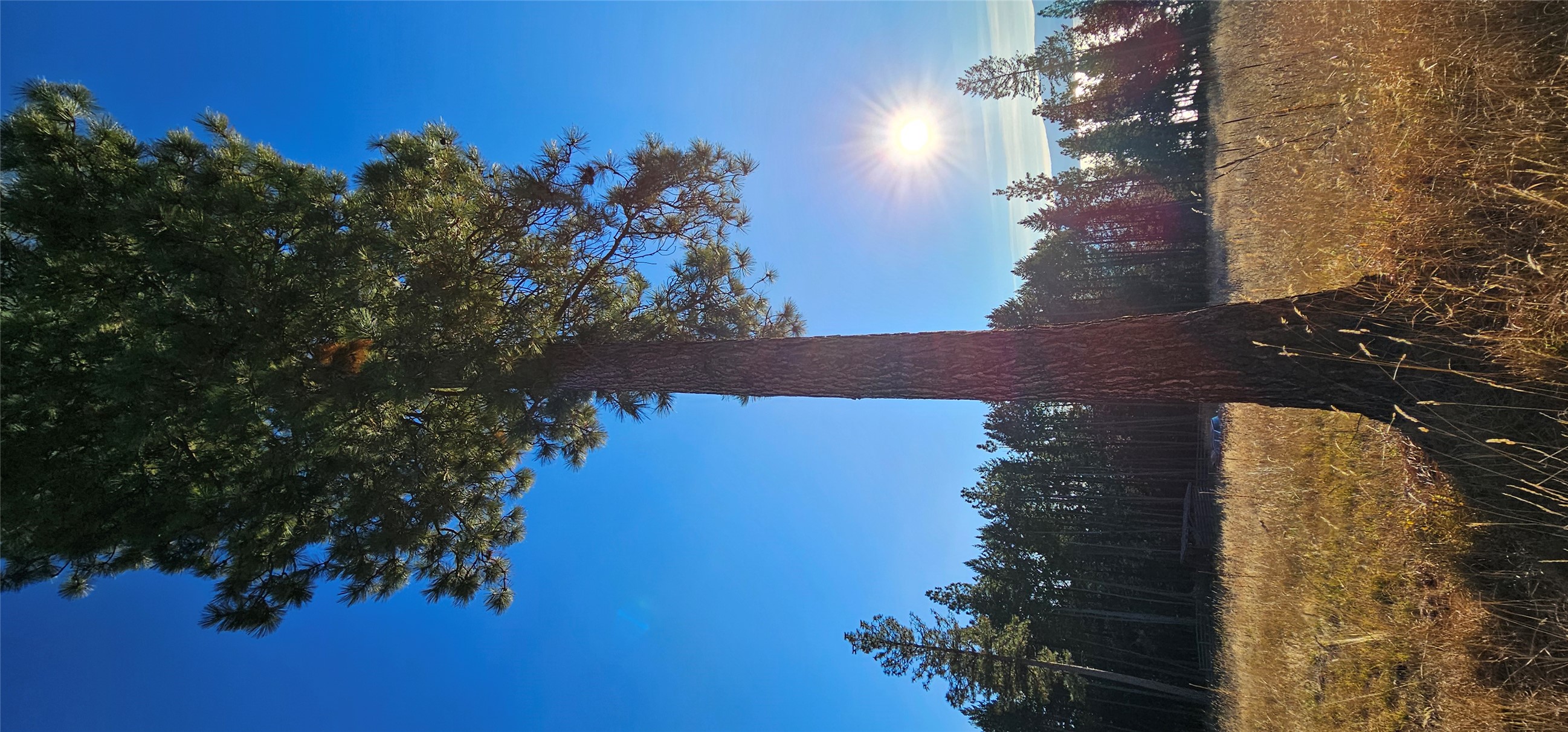 Bigfork, Montana 59911, United States, 3 Bedrooms Bedrooms, ,4 BathroomsBathrooms,Residential,Active,32295