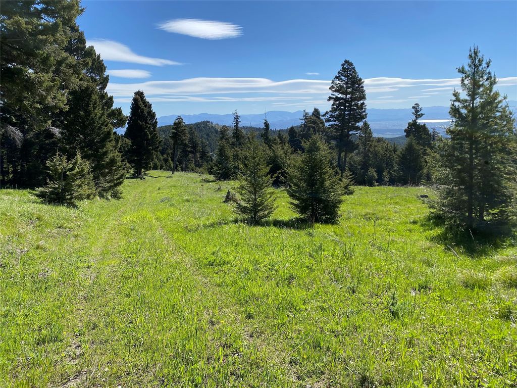 Photo of 320A Turk Road, Helena, MT 59602 (MLS # 30048056)