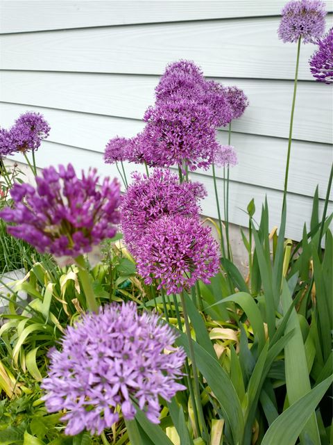 Tiny photo for 1785 Hodgson Road, Whitefish, MT 59937 (MLS # 30071016)