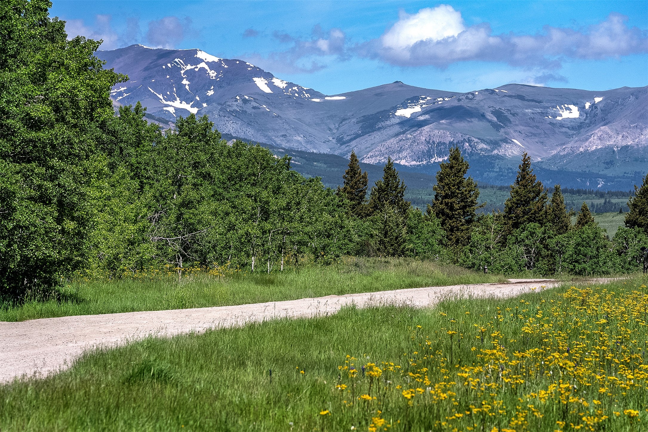 NHN Heart Butte Cutoff Road