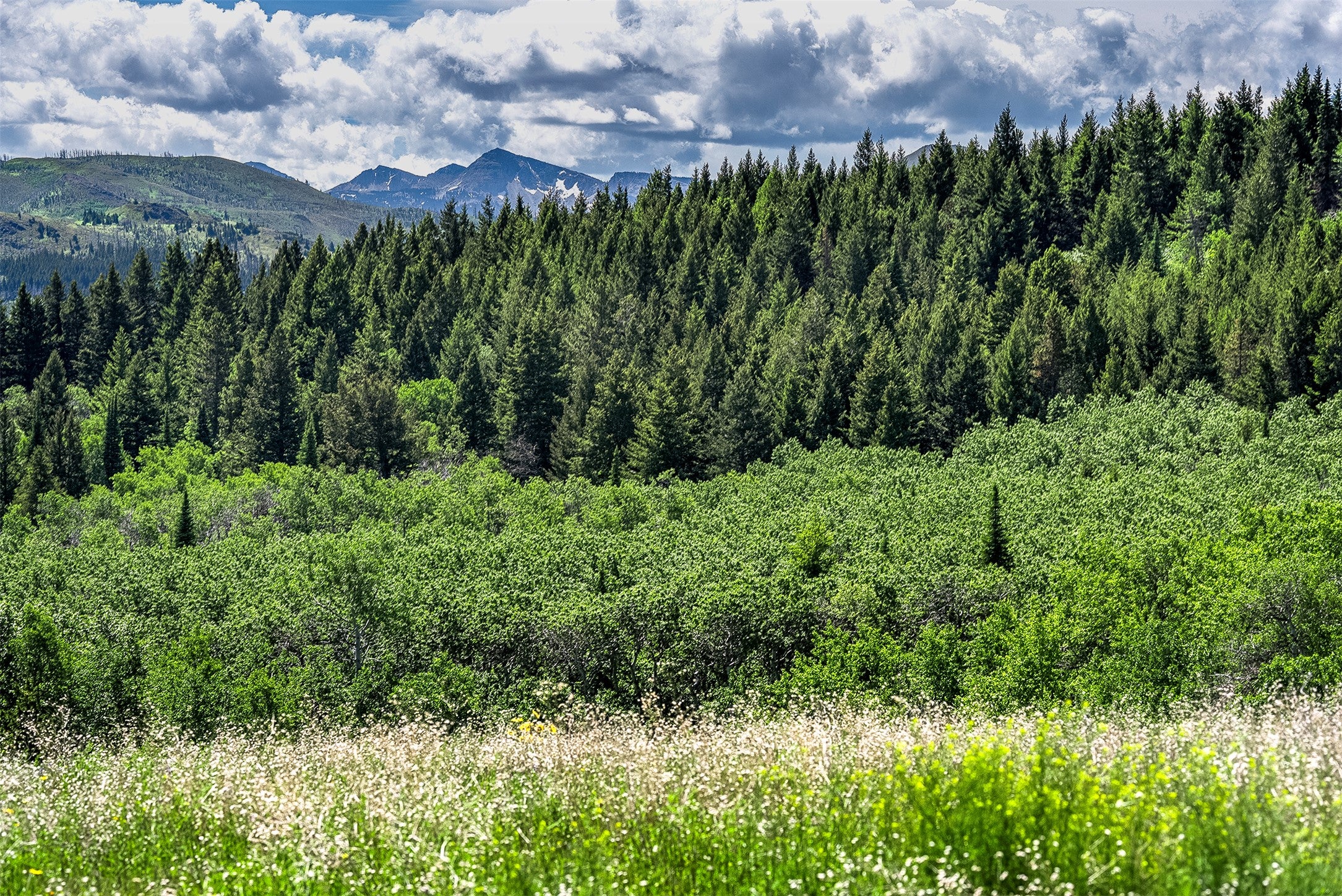 NHN Heart Butte Cutoff Road