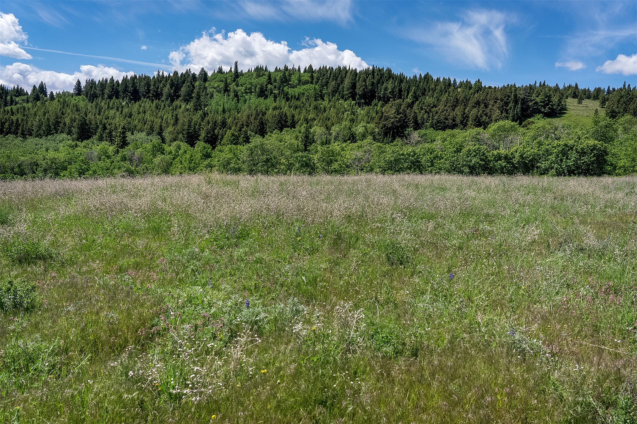 NHN Heart Butte Cutoff Road