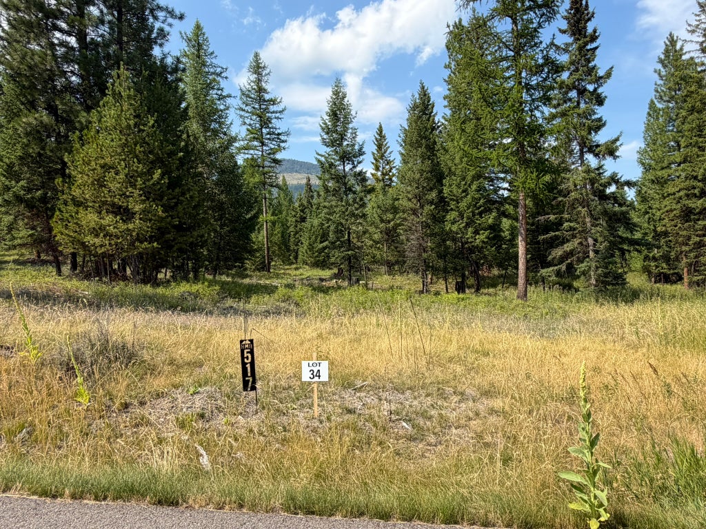 Photo of 517 Haskill Ranch Road, Kila, MT 59920 (MLS # 30077300)