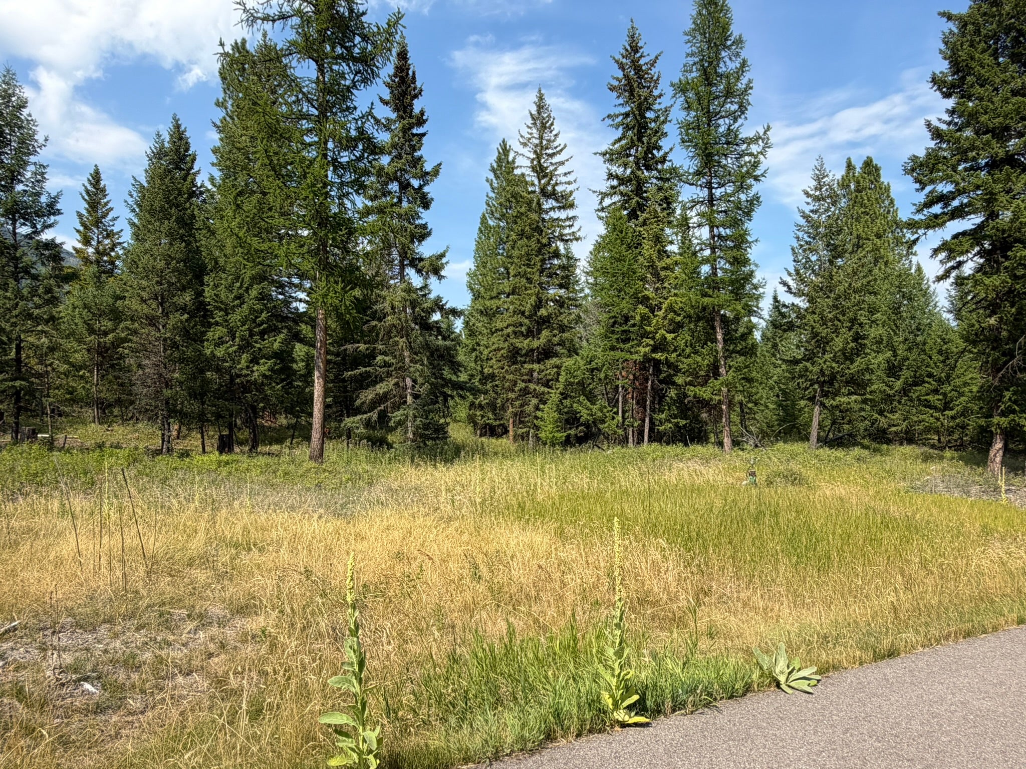 517 Haskill Ranch Road