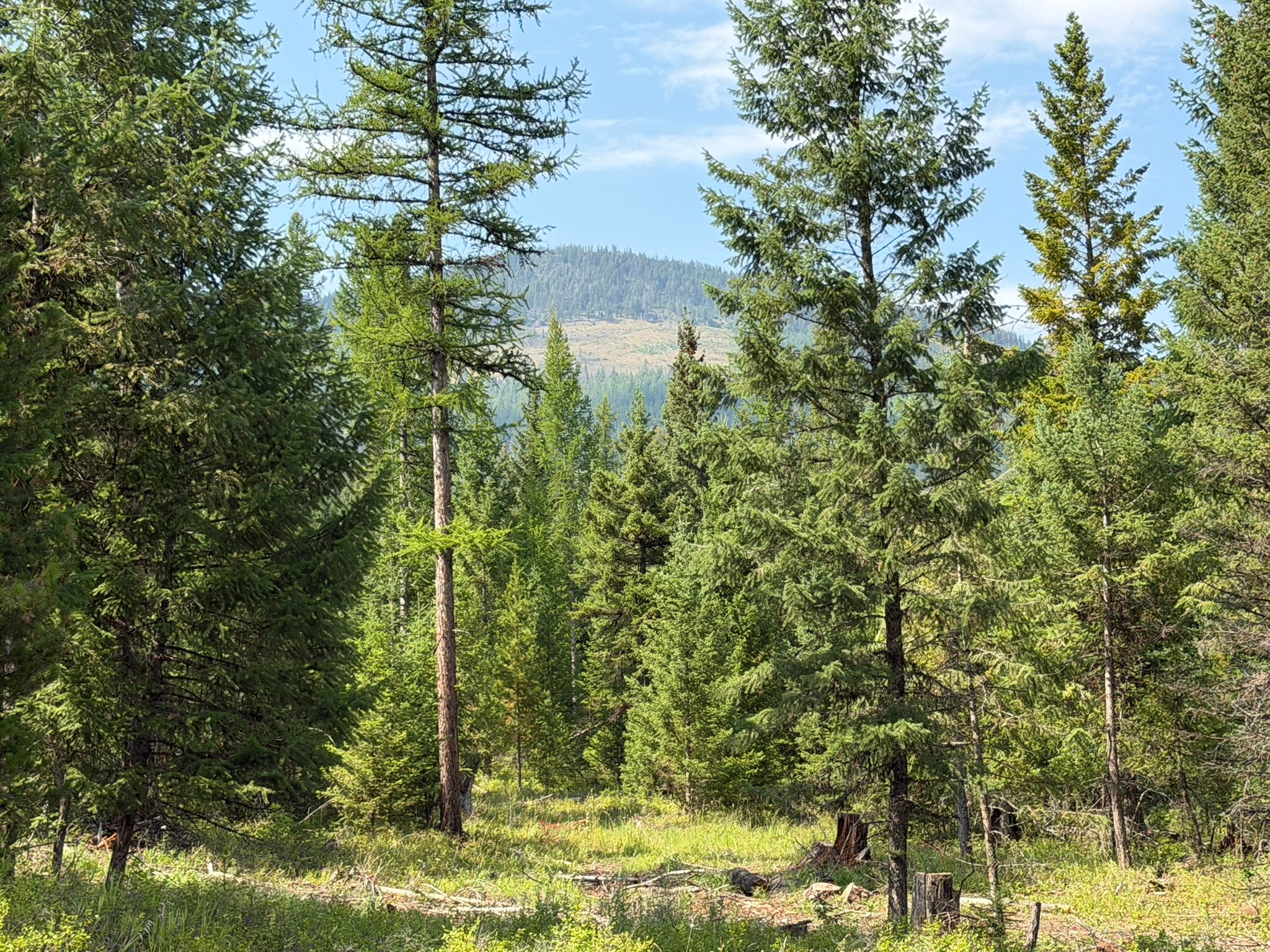 517 Haskill Ranch Road