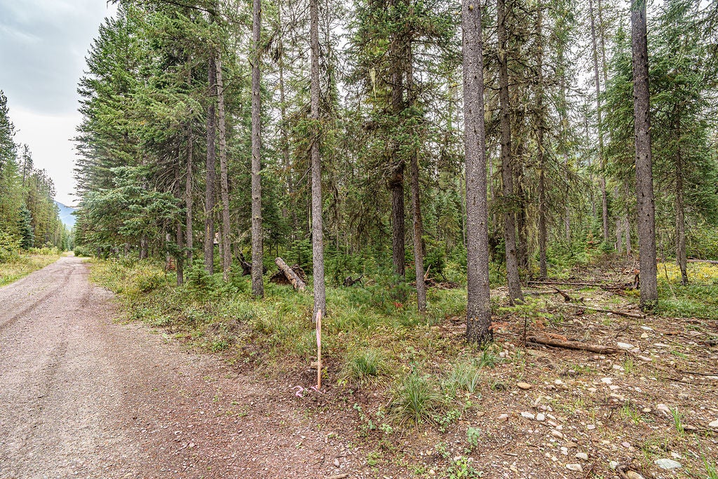 Photo of 24 1st Avenue E, Essex, MT 59916 (MLS # 30078359)