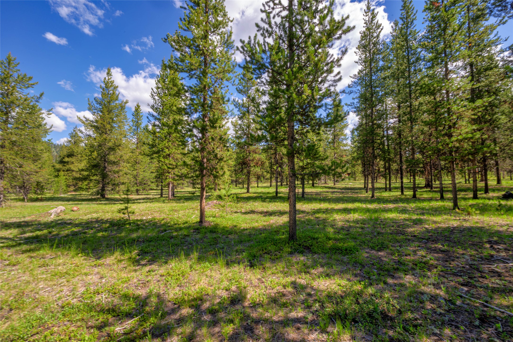NHN Happy Acres Lane