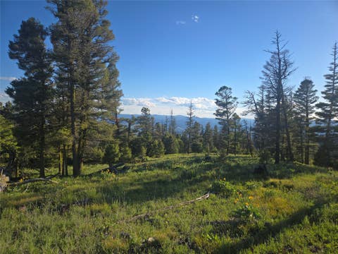 Tiny photo for 1 Big Sky Ridge Road, Drummond, MT 59832 (MLS # 30073666)