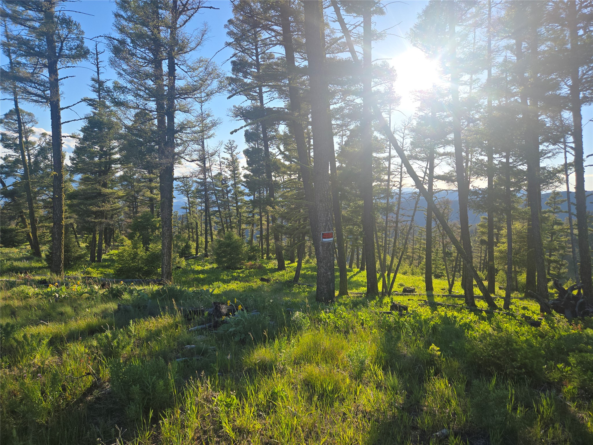 1 Big Sky Ridge Road