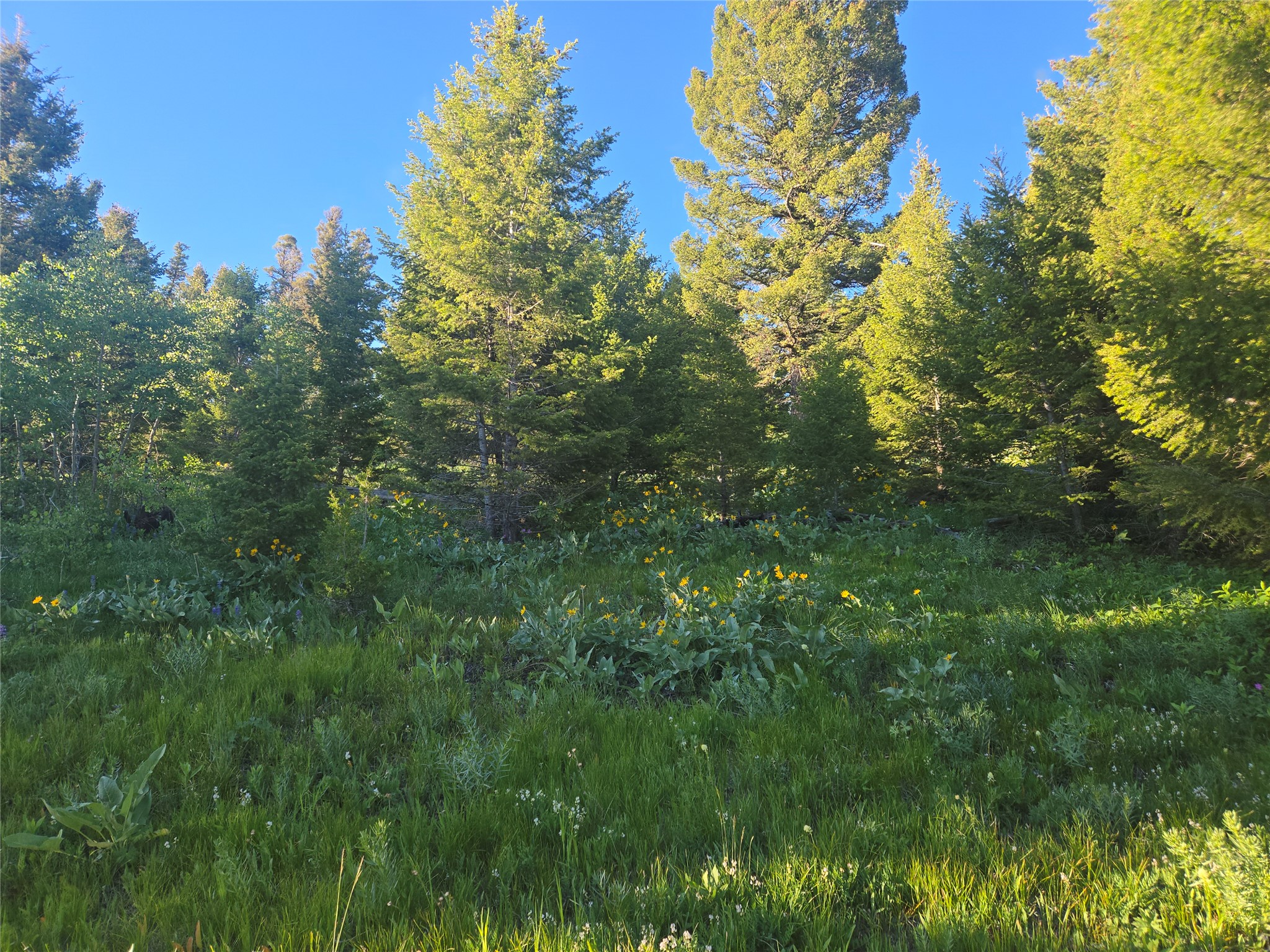 1 Big Sky Ridge Road