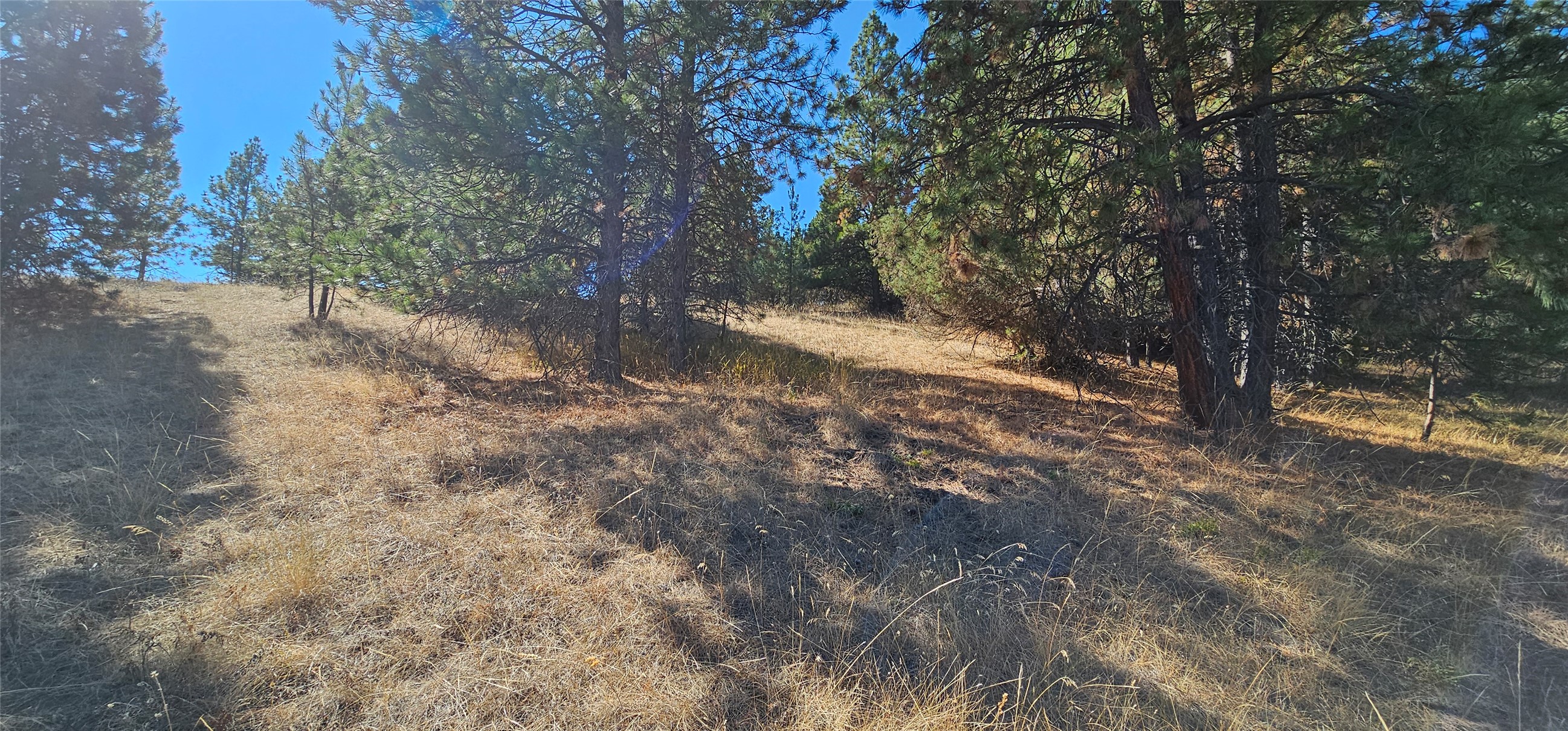 Big Arm, Montana 59910, United States, ,Land,Active,208658