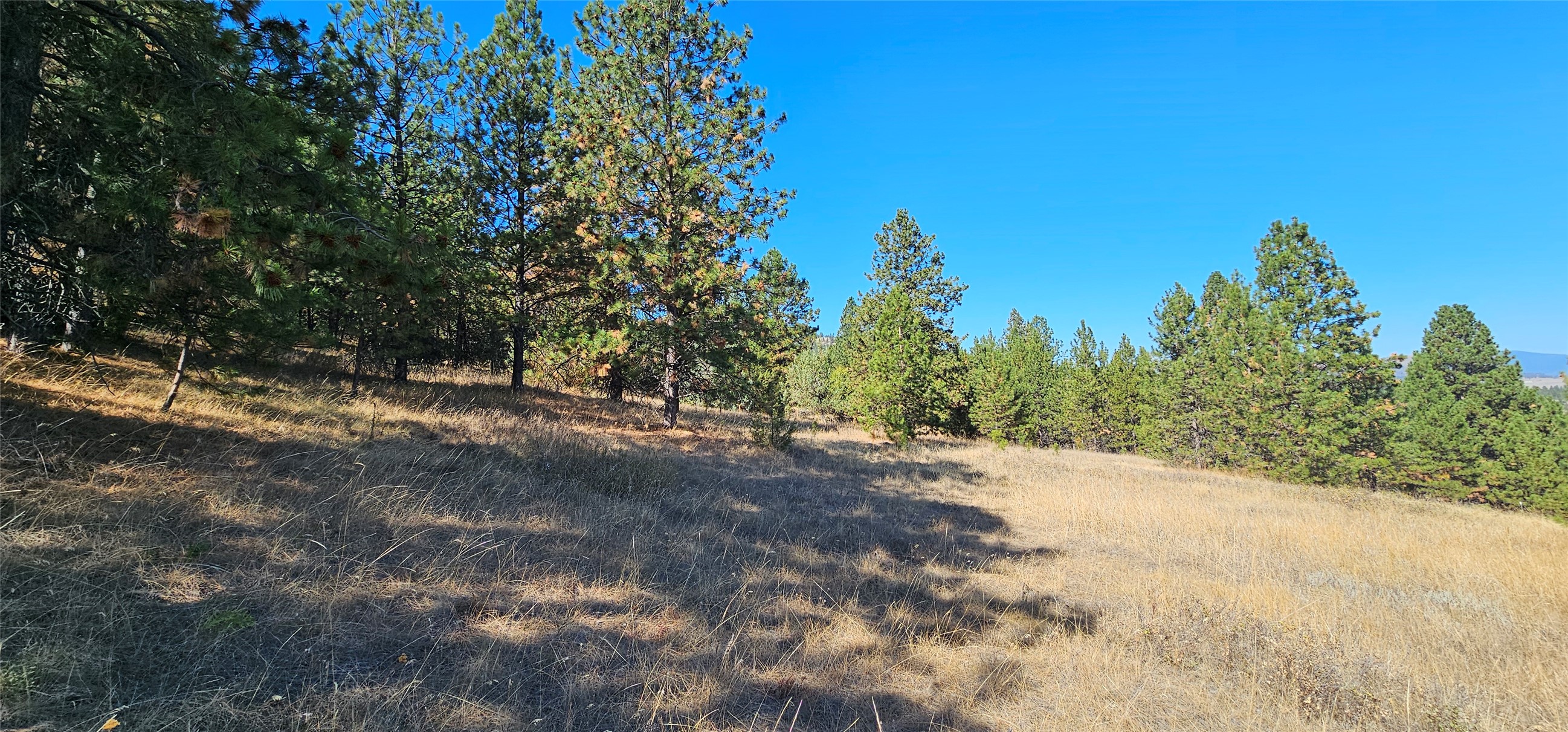 Big Arm, Montana 59910, United States, ,Land,Active,208658