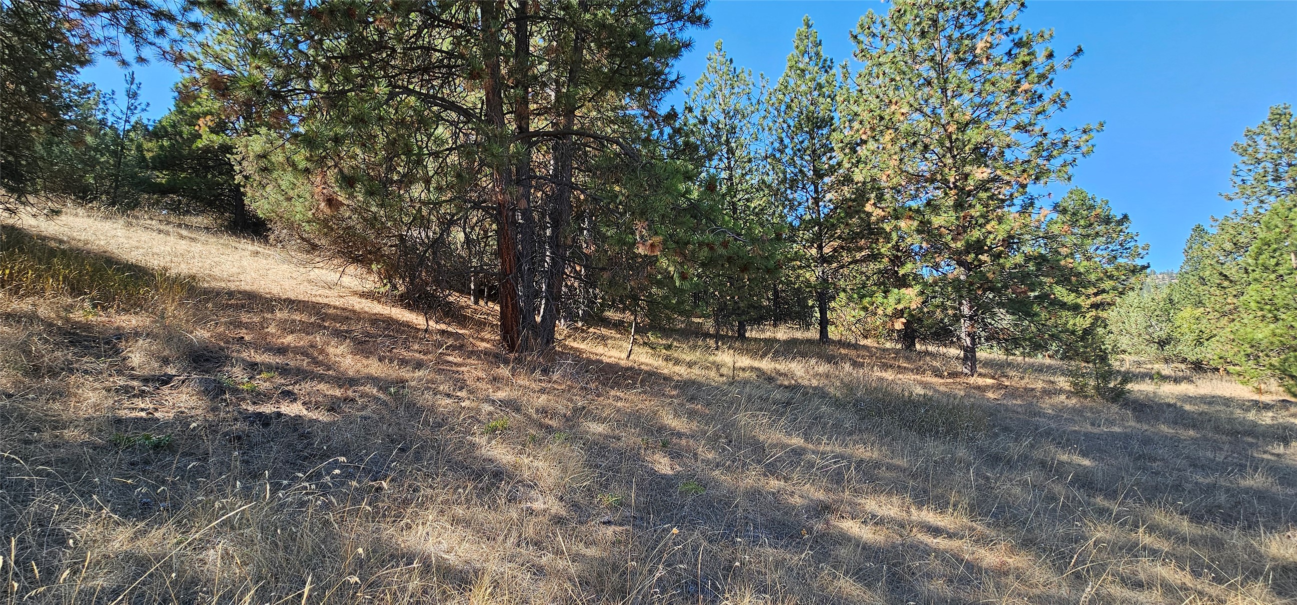 Big Arm, Montana 59910, United States, ,Land,Active,208658