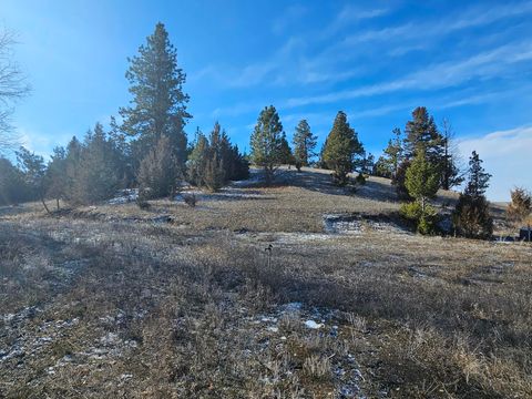 Tiny photo for 198 Mullan Trail Road, Gold Creek, MT 59733 (MLS # 30068599)